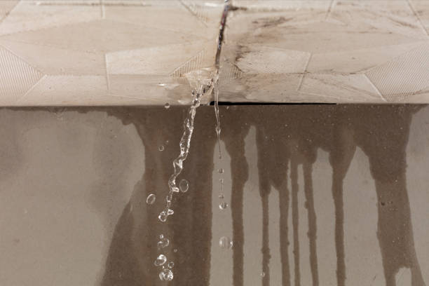 Professional Water Damage Inspection technician working in Blanchester, OH